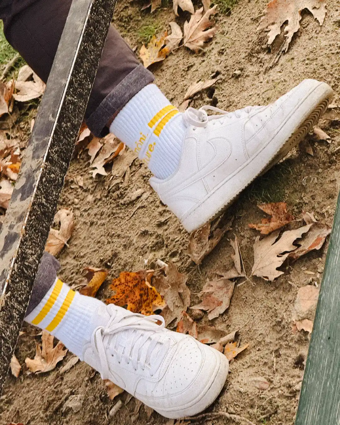 lemoni_culture_PROD_CAR_5