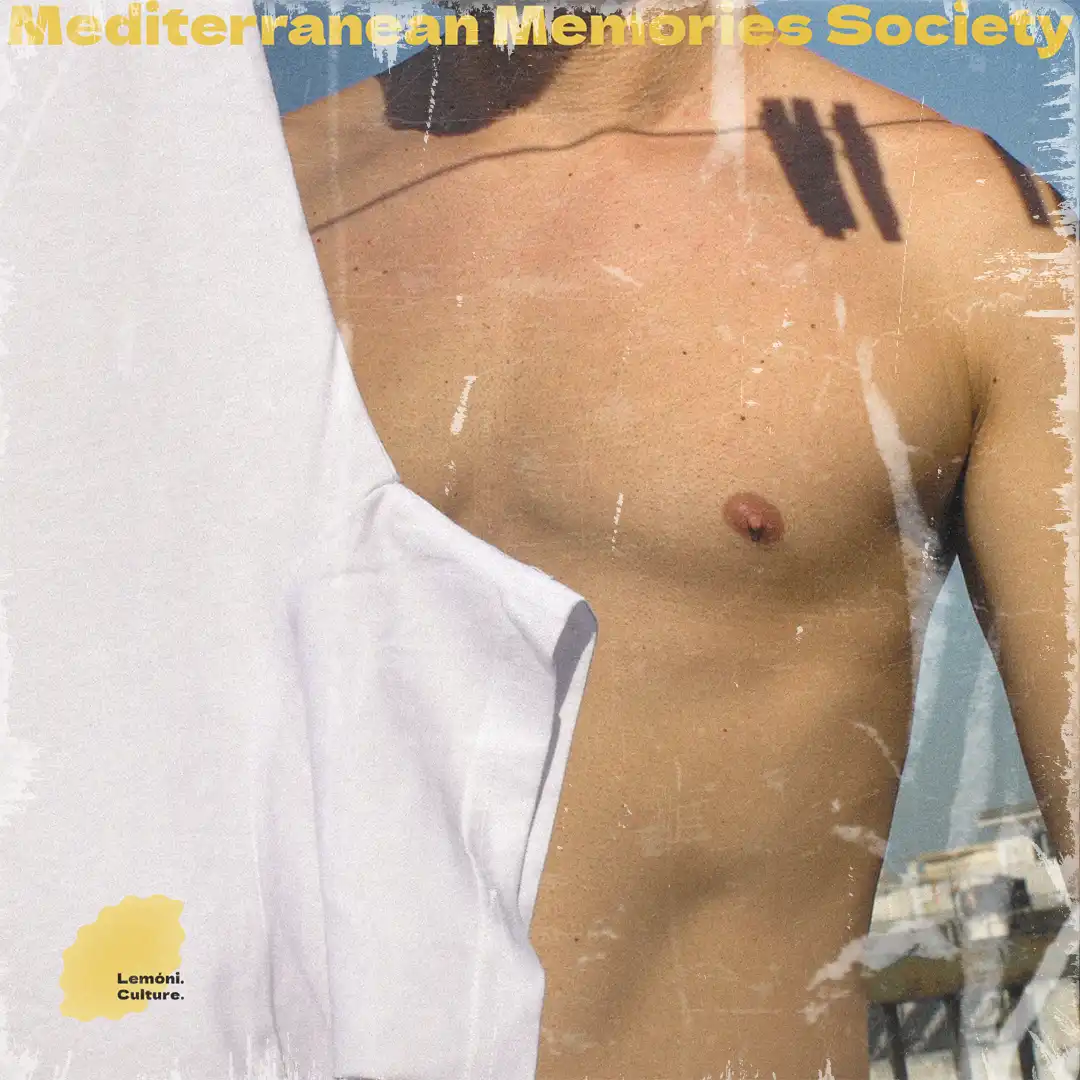 vinyl_new_cover_lemoni